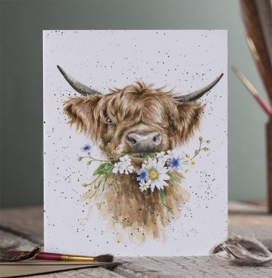 Daisy coo single card