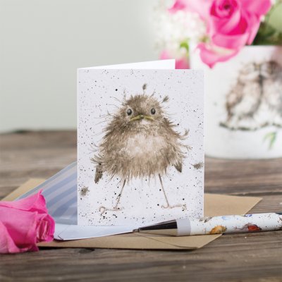 Carte d'accompagnement du troglodyte mignon