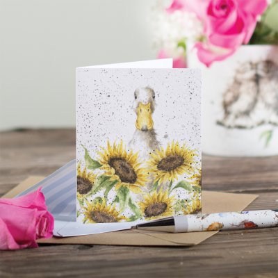 Carte d'enclos canards