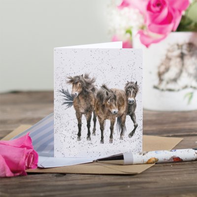 Three amigos gift enclosure card