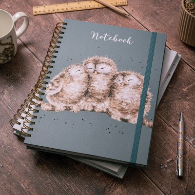 Carnet à spirale grand format hibou