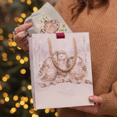 Sac cadeau moyen noël hibou
