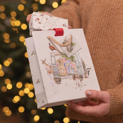 Sac cadeau noël pour petits animaux