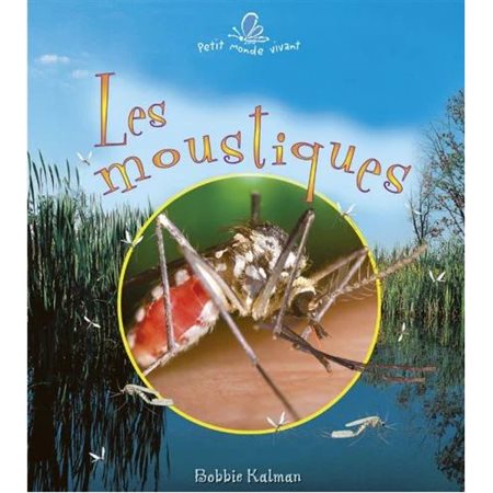 Les moustiques : Petit monde vivant