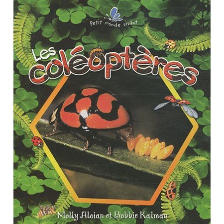 Les coléoptères : Petit monde vivant