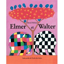 Les lutins : Elmer et Walter : AVC