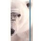 Le retour de l'ours