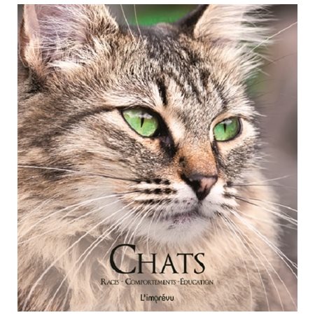 Chats : Races, comportements, éducation