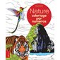 Nature : Coloriage par numéros