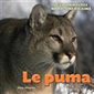 Le puma : Les Mammifères Nord-Américains