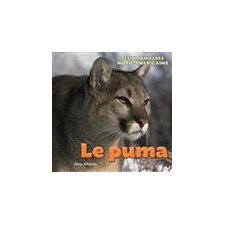 Le puma : Les Mammifères Nord-Américains