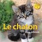 Le chaton : Mon Animal De Compagnie