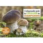 L'indispensable guide du cueilleur de champignons : Reconnaître 200 champignons à coup sûr !