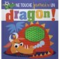 Ne touche jamais à un dragon !