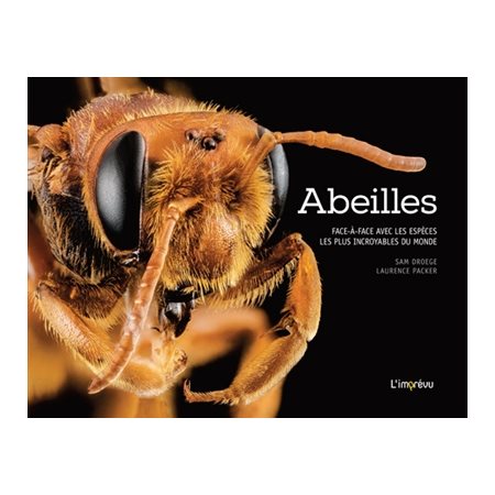 Abeilles : Face-à-face avec les espèces les plus incroyables du monde