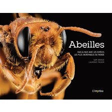 Abeilles : Face-à-face avec les espèces les plus incroyables du monde