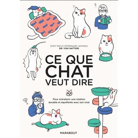 Ce que chat veut dire : Pour entretenir une relation durable et équilibrée avec son chat