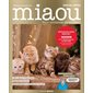 Miaou : pour ronronner de bonheur : Spécial Fêtes : Édition collector