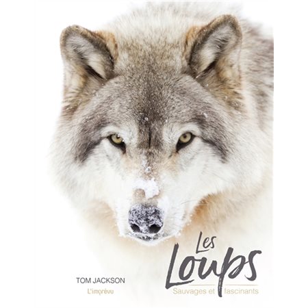 Les loups : Sauvages et fascinants