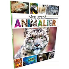 Mon grand animalier (Éditions Petits génies)