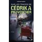Sur les traces de Cédrika Provencher : Le parcours d'un homme en quête de vérité