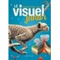 Le visuel junior : Dictionnaire français : anglais