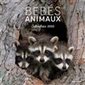 Bébés animaux : Calendrier 2020
