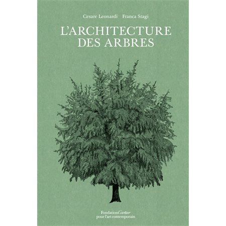 L'architecture des arbres