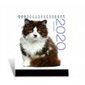 Chats : Calendrier de table 2020