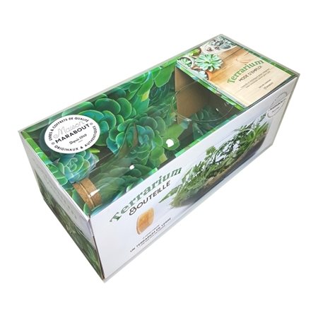 Coffret terrarium bouteille + 1 livre