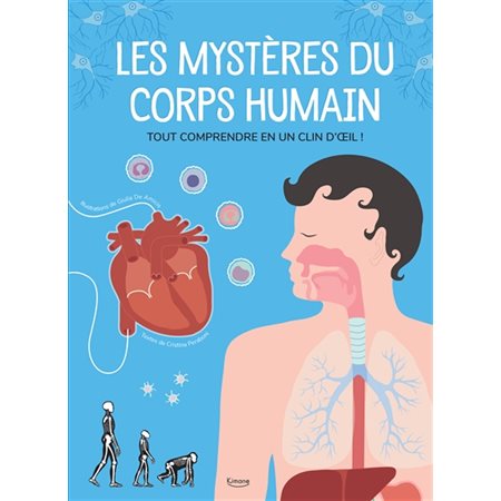 Les mystères du corps humain : Tout comprendre en un clin d'oeil !