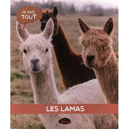 Les lamas : Je sais tout