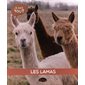 Les lamas : Je sais tout