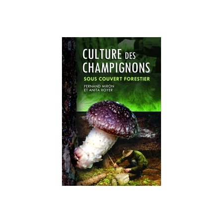 Culture des champignons sous couvert forestier