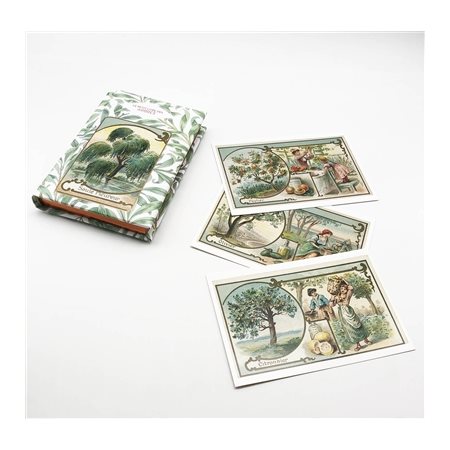 Le petit livre des arbres + cartes postales : 10 cartes postales offertes