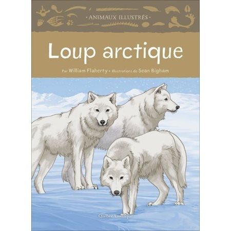 Loup arctique : Animaux illustrés