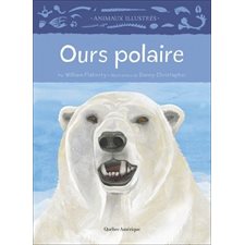 Ours polaire : Animaux illustrés