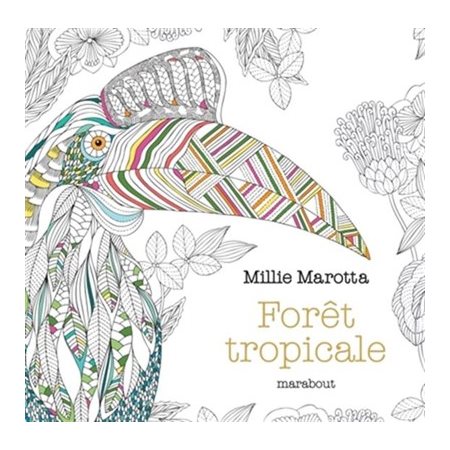 Forêt tropicale : Coloriages