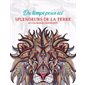 Splendeurs de la terre : Du temps pour soi : 40 coloriages inspirants
