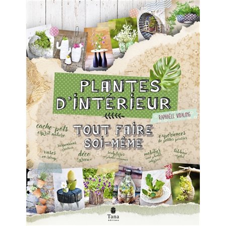 Plantes d'intérieur : Tout faire soi-même