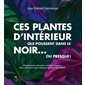 Ces plantes d'intérieur qui poussent dans le noir ... ou presque !