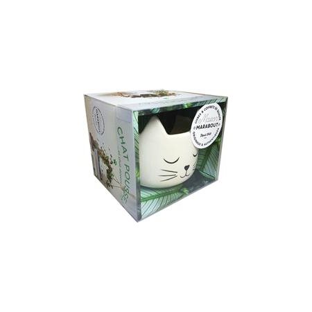 Coffret chat pousse ... et chat décore : Coffret comprenant 1 guide + 1 pot en forme de tête de chat