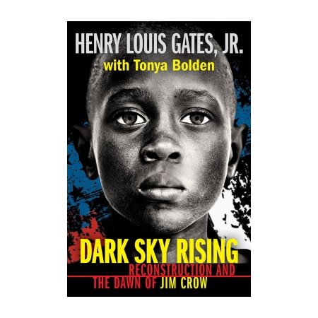 Dark Sky Rising: Reconstruction and the Dawn of Jim Crow : Anglais : Paperback : Souple