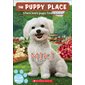 The Puppy Place T.59 : Miki : Anglais : Paperback : Souple
