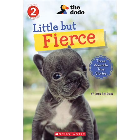 Scholastic Reader Level 2 : The Dodo: Little But Fierce : Anglais : Paperback : Souple