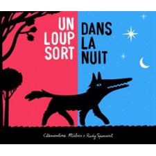 Un loup sort dans la nuit