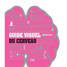 Guide visuel du cerveau