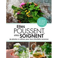 Elles poussent, elles soignent : 50 plantes à cultiver pour leurs bienfaits reconnus