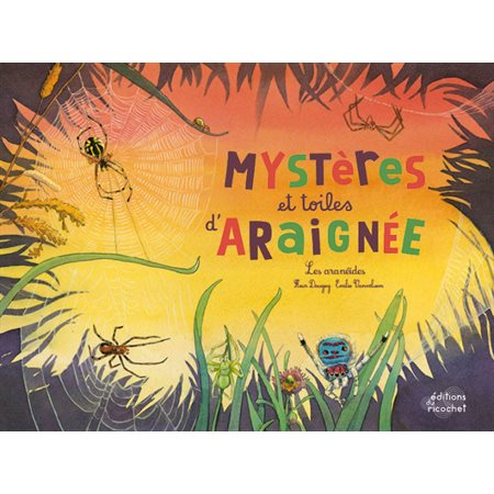 Mystères et toiles d'araignée : Les aranéides : Ohé la science !