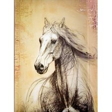 Journal :  Cheval sérénité